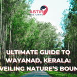 Ultimate Guide to Wayanad, Kerala: Unveiling Nature’s Bounty