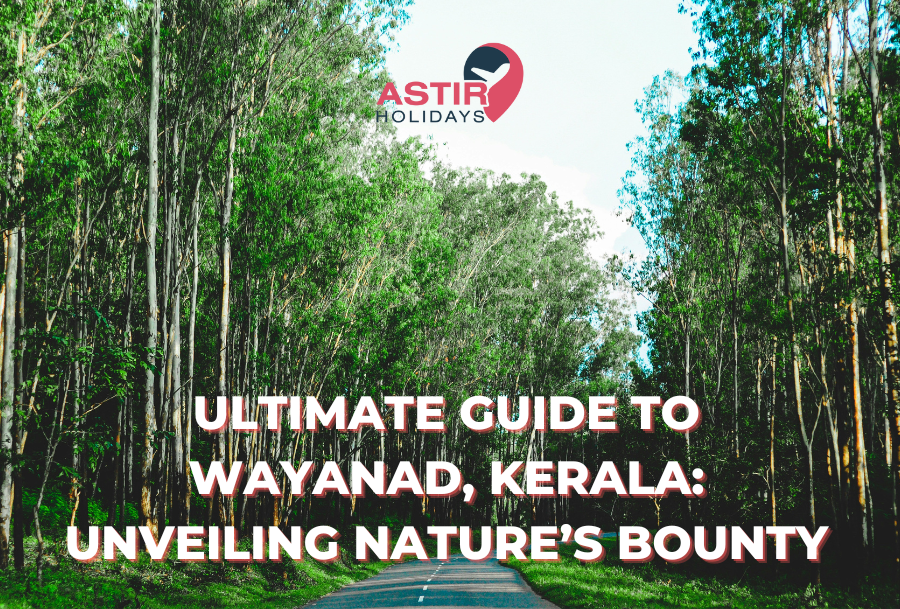 Ultimate Guide to Wayanad, Kerala: Unveiling Nature’s Bounty