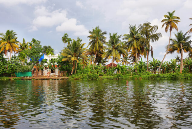 Alleppey Tour package