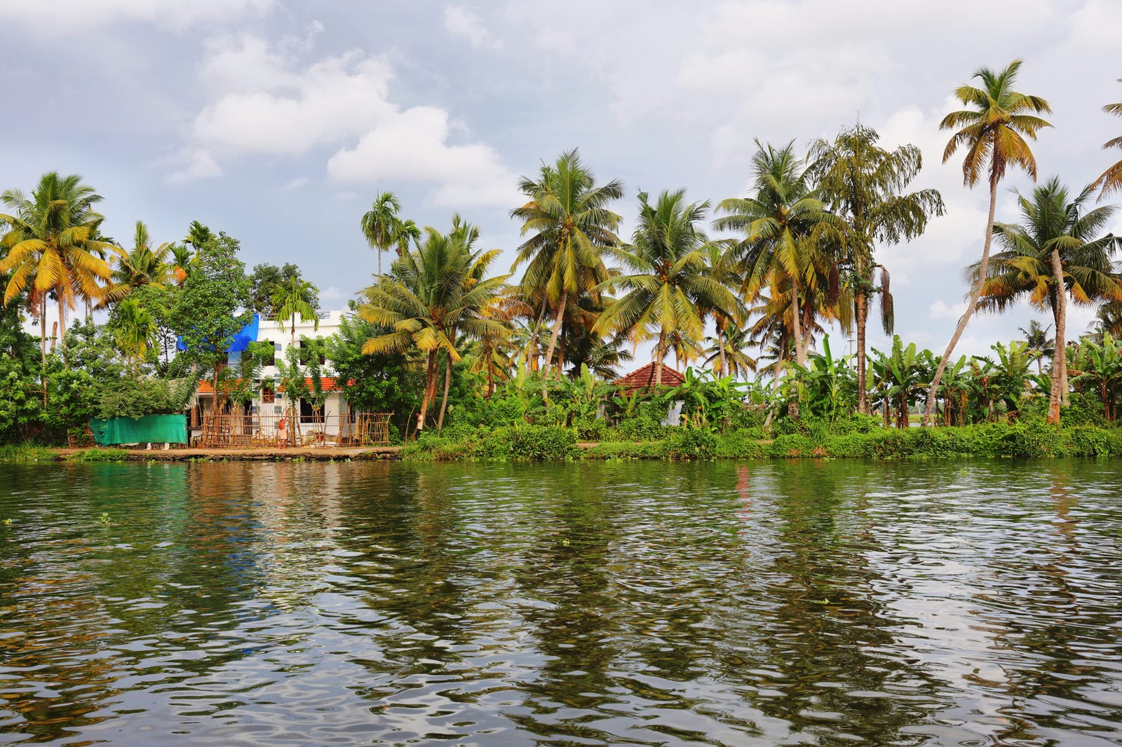 Alleppey Tour package By Astir Holidays | Honeymoon Special