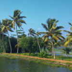 Ultimate Guide to Alleppey (Alappuzha), Kerala: Venice of the East