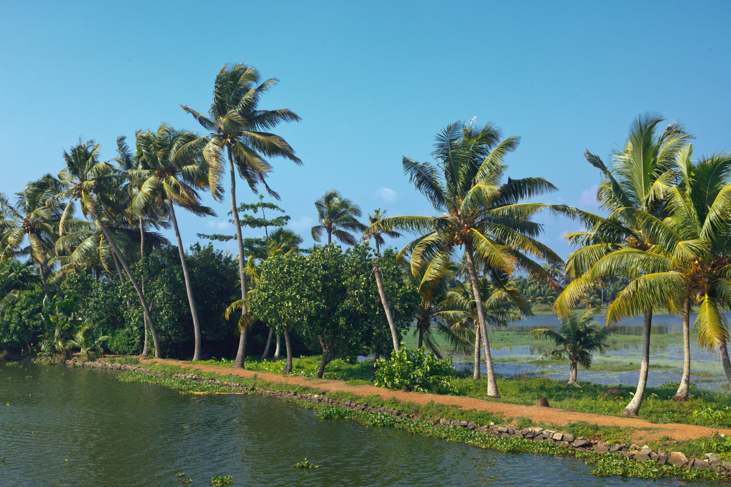 Ultimate Guide to Alleppey (Alappuzha), Kerala: Venice of the East